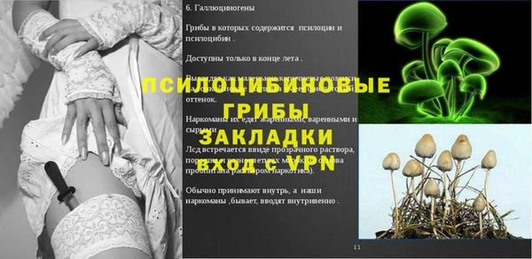 экстази Покачи