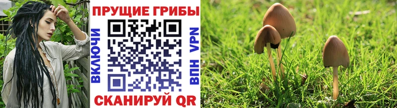 Псилоцибиновые грибы мухоморы  Сасово 